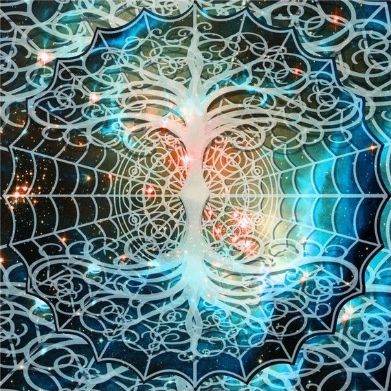 tree-of-life-web-of-life